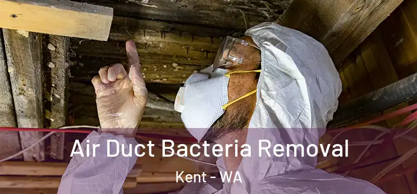 Air Duct Bacteria Removal Kent - WA