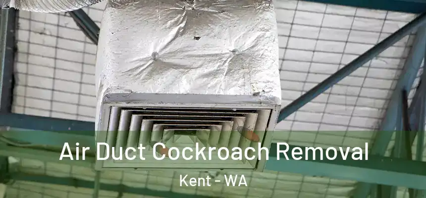Air Duct Cockroach Removal Kent - WA