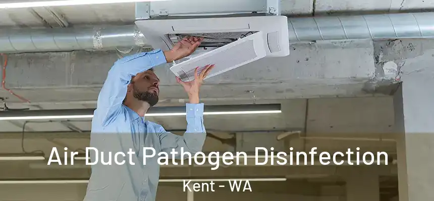  Air Duct Pathogen Disinfection Kent - WA
