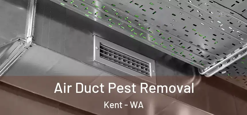 Air Duct Pest Removal Kent - WA