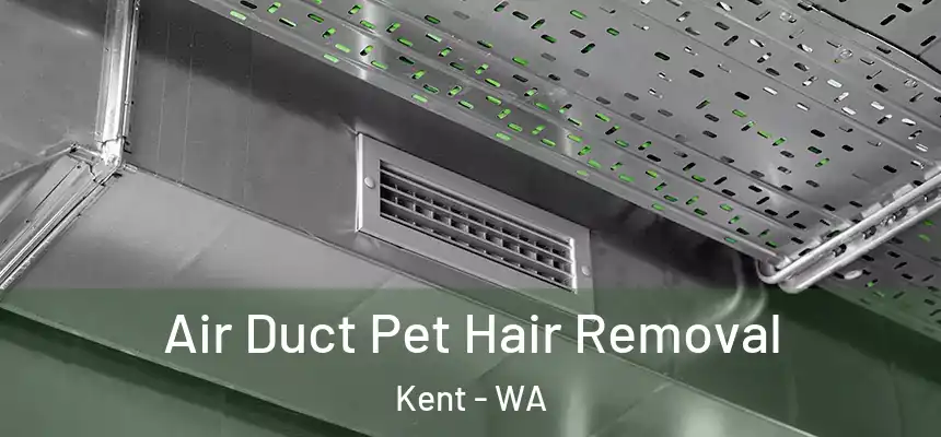 Air Duct Pet Hair Removal Kent - WA