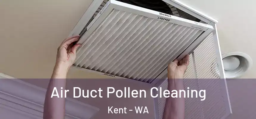 Air Duct Pollen Cleaning Kent - WA