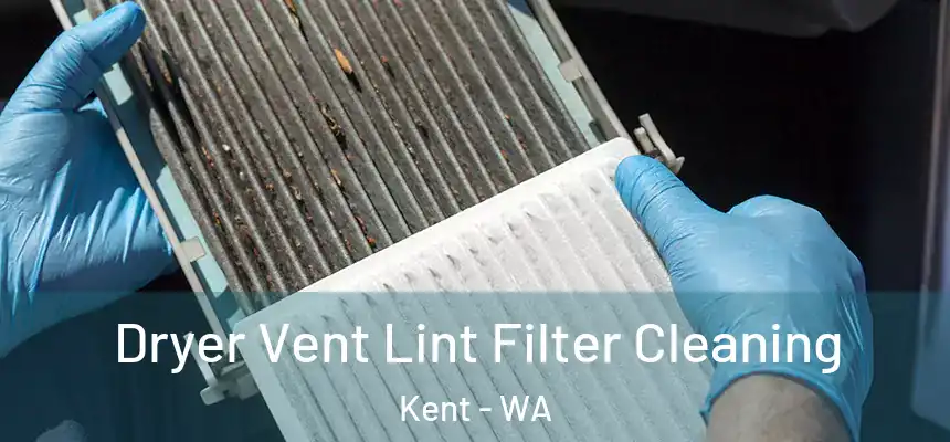 Dryer Vent Lint Filter Cleaning Kent - WA