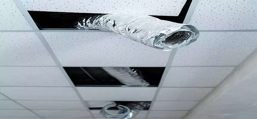 Our Air Duct Pet Hair Removal Services in Kent, WA