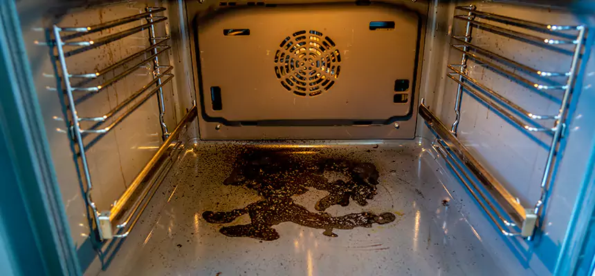 Our Dryer Vent Mold Cleaning Services in Kent, WA