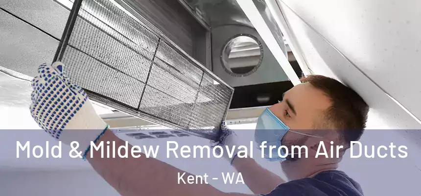 Mold & Mildew Removal from Air Ducts Kent - WA