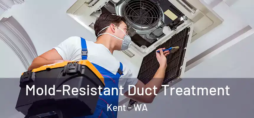Mold-Resistant Duct Treatment Kent - WA