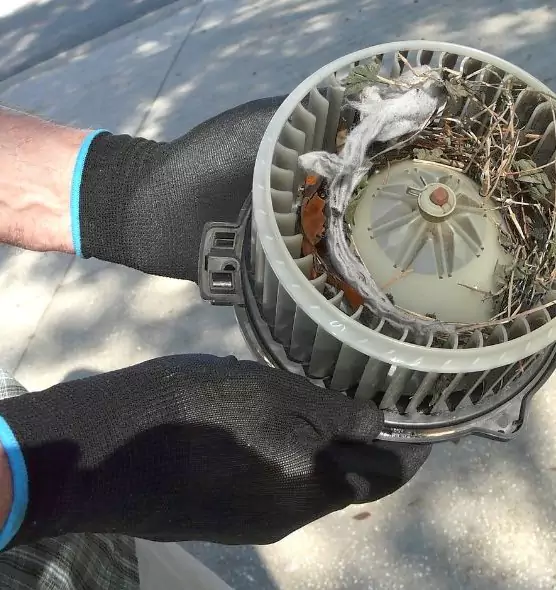 About Air Duct Rat Removal in Kent, WA