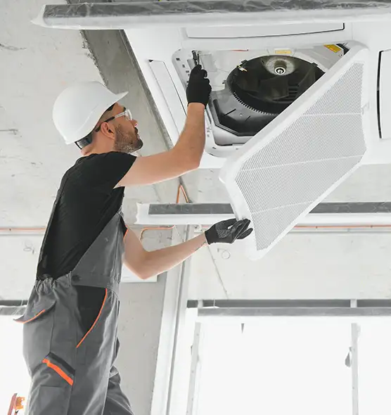 About Air Duct Rodent Removal in Kent, WA