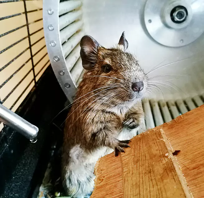 Why Homeowners & Businesses Trust Us Kent, WA