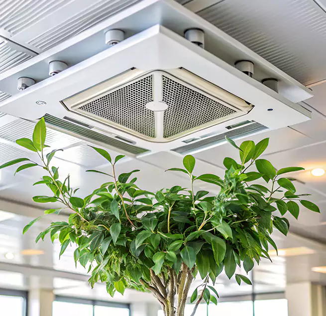 Why Homeowners & Businesses Trust Us in Kent, WA?