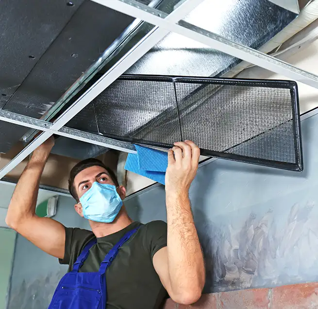 Why Homeowners & Businesses Trust Us in Kent, WA?