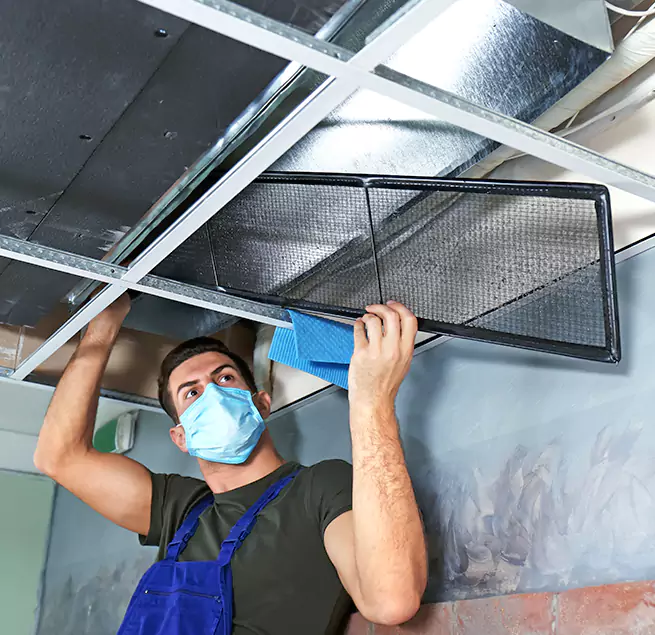 Why Homeowners & Businesses Trust Us in Kent, WA?