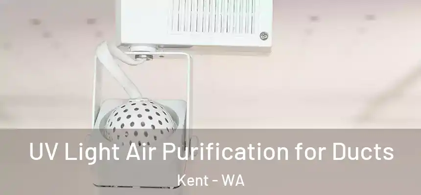UV Light Air Purification for Ducts Kent - WA
